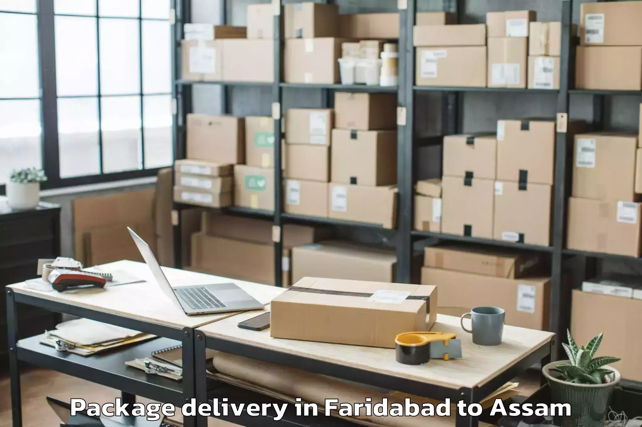 Easy Faridabad to Kalaigaon Package Delivery Booking